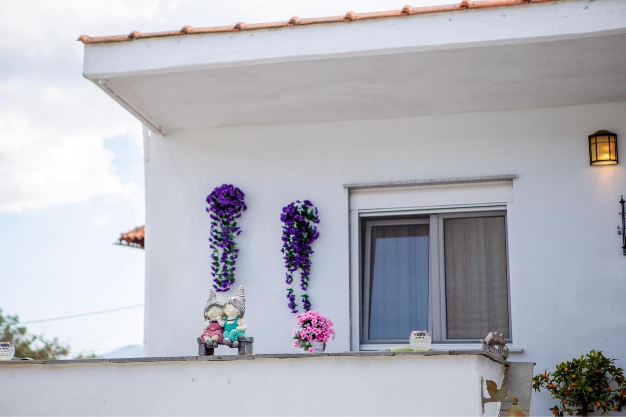 Titika House Guest House Nea Vrasna Bagian luar foto